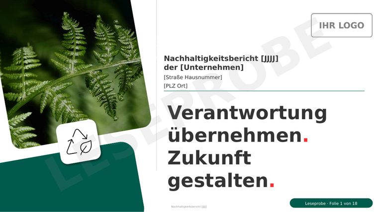 Titelseite der Vorlage für den Nachhaltigkeitsbericht nach VSME-Basismodul